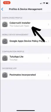 Go to Ios settings profile management for installing Coker Nutx